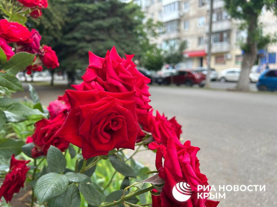 ������� ������ � ����� �� �������