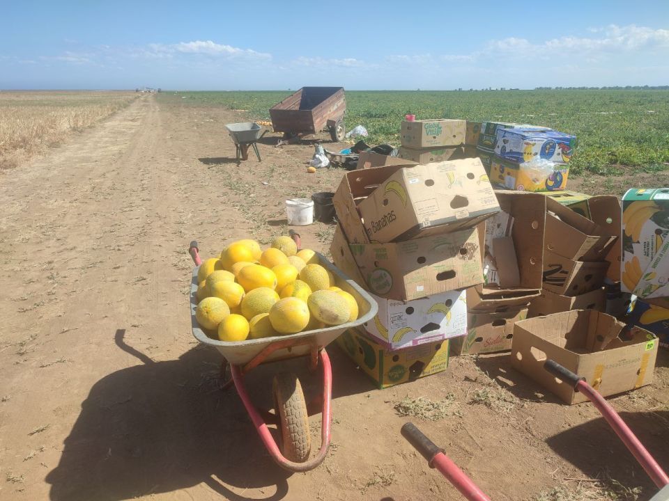 Денис Олейник: Сегодня совместно с представителями налоговой службы, МВД, центра занятости и администрации района принял участие в выездном заседании Межведомственной комиссии по противодействию нелегальной занятости на... Денис Олейник: Сегодня совместно с представителями налоговой службы, МВД, центра занятости и администрации района принял участие в выездном заседании Межведомственной комиссии по противодействию нелегальной занятости на...