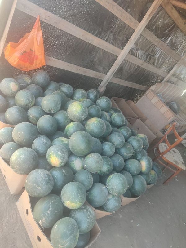 Денис Олейник: Сегодня совместно с представителями налоговой службы, МВД, центра занятости и администрации района принял участие в выездном заседании Межведомственной комиссии по противодействию нелегальной занятости на... Денис Олейник: Сегодня совместно с представителями налоговой службы, МВД, центра занятости и администрации района принял участие в выездном заседании Межведомственной комиссии по противодействию нелегальной занятости на...