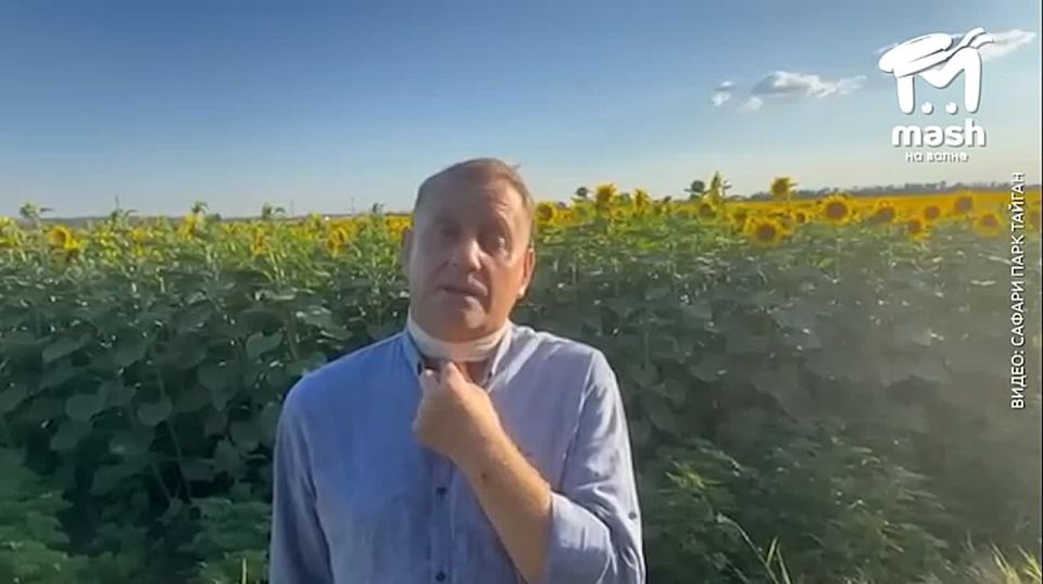 &quot;   ,      