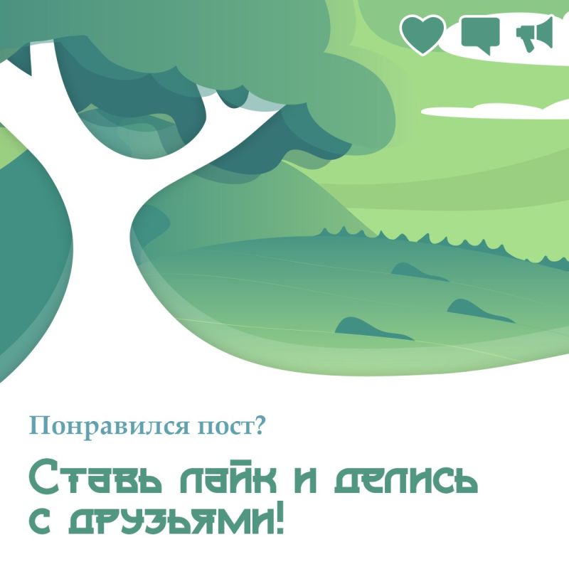 Крым участвует в конкурсе «Российское дерево года — 2025» Крым участвует в конкурсе «Российское дерево года — 2025»