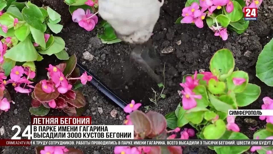      3000  