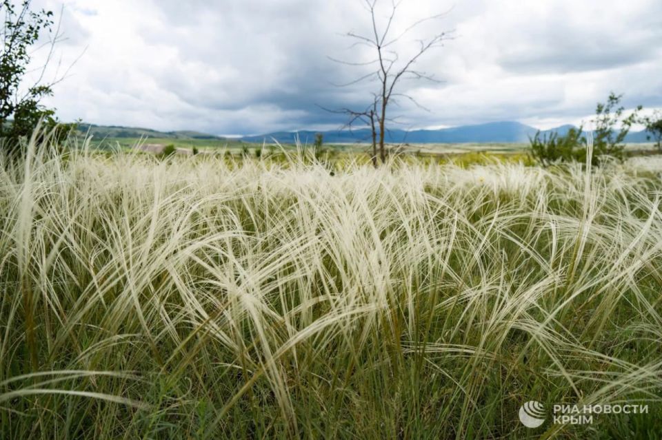 ������� ������ � ����� �� �������