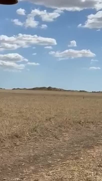 250-     