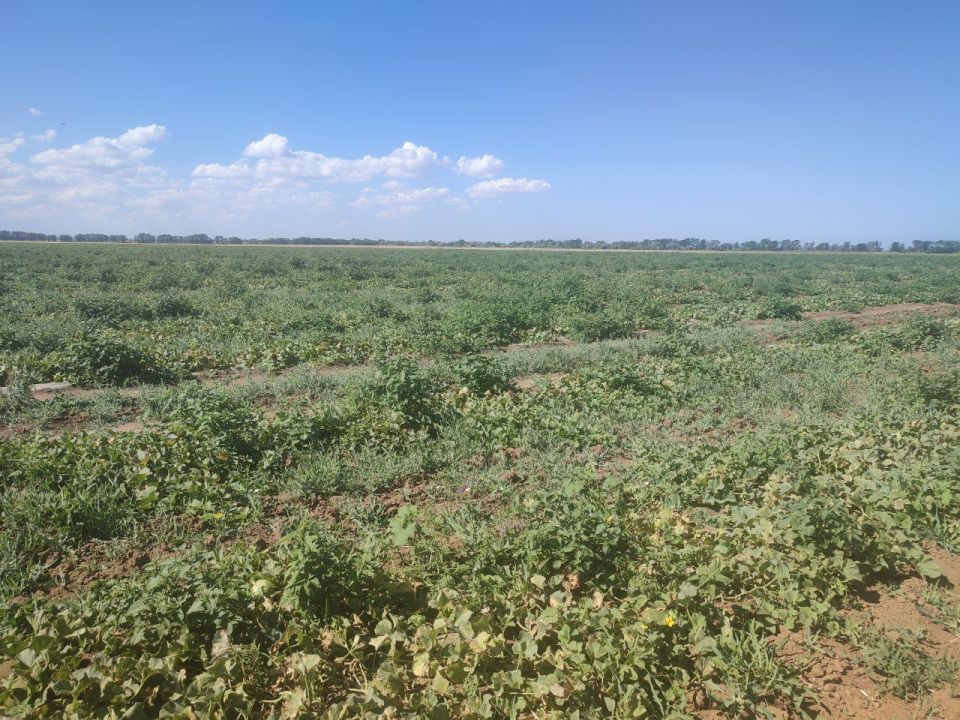 Денис Олейник: Сегодня совместно с представителями налоговой службы, МВД, центра занятости и администрации района принял участие в выездном заседании Межведомственной комиссии по противодействию нелегальной занятости на... Денис Олейник: Сегодня совместно с представителями налоговой службы, МВД, центра занятости и администрации района принял участие в выездном заседании Межведомственной комиссии по противодействию нелегальной занятости на...