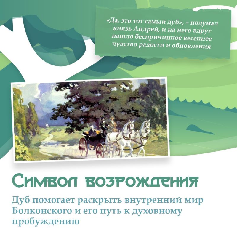 Крым участвует в конкурсе «Российское дерево года — 2025» Крым участвует в конкурсе «Российское дерево года — 2025»