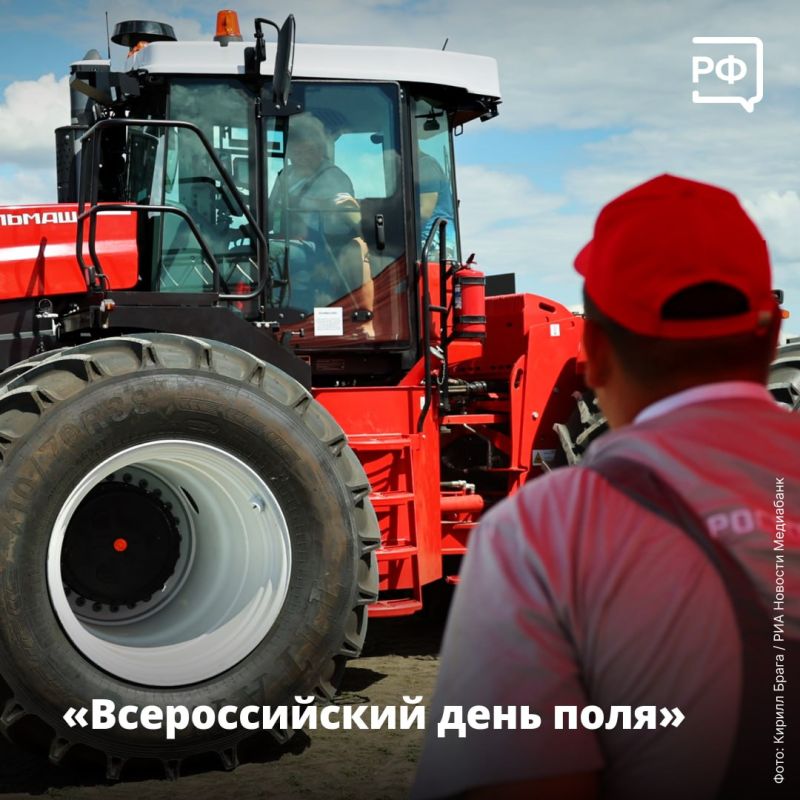 Владимир Путин рассказал, в чём главный смысл научных открытий, в Волгоградской области прошёл «Всероссийский день поля», а на самом южном острове страны учёные нашли гнездо краснокнижного орлана Владимир Путин рассказал, в чём главный смысл научных открытий, в Волгоградской области прошёл «Всероссийский день поля», а на самом южном острове страны учёные нашли гнездо краснокнижного орлана