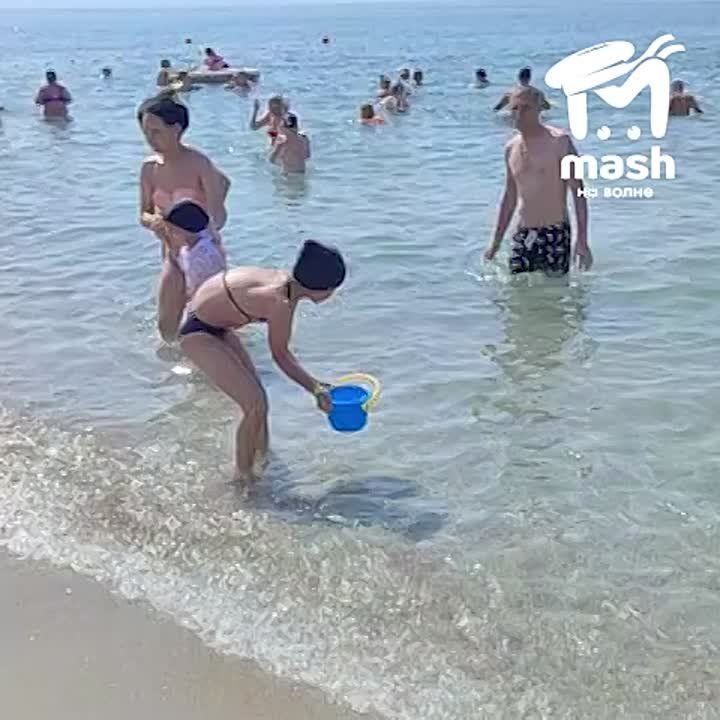 ,   : -  !