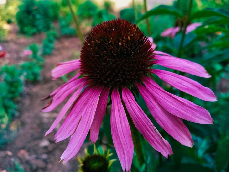 � ������ �����, �������!. ����� ���� ����� �������� ��������� � ��������! ������� � �������� ��������, t +31, ����� ���-���������