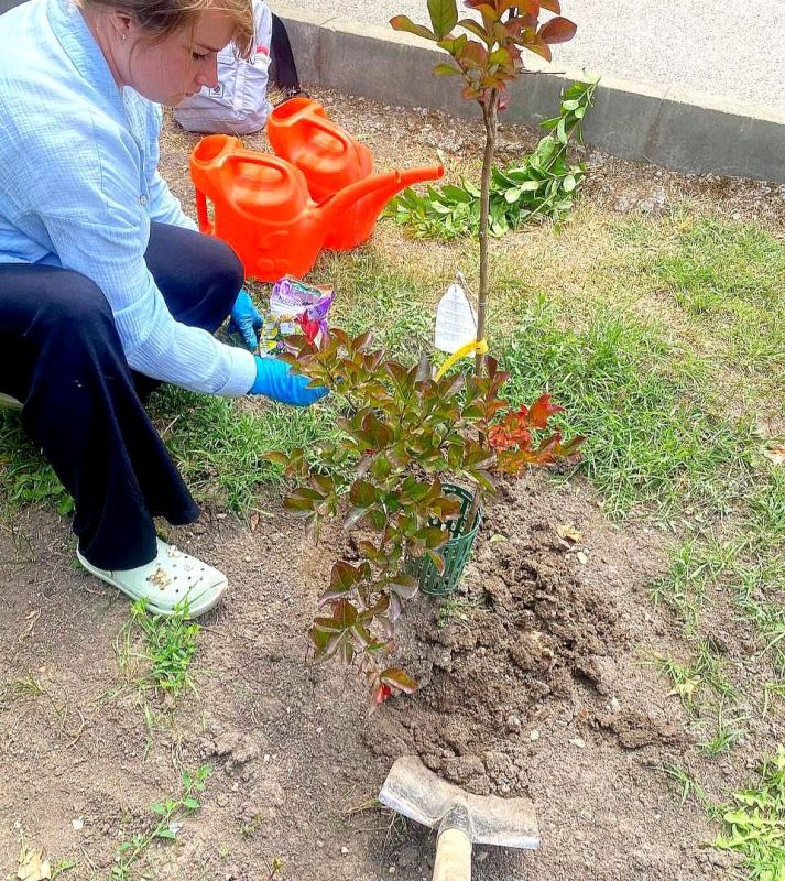 Ежедневное благоустройство, озеленение и уход за парками и скверами Симферополя Ежедневное благоустройство, озеленение и уход за парками и скверами Симферополя