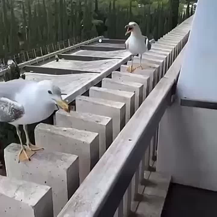 !      