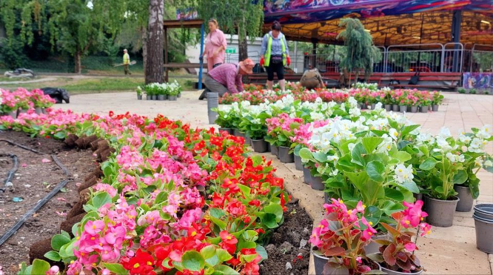 Ежедневное благоустройство, озеленение и уход за парками и скверами Симферополя Ежедневное благоустройство, озеленение и уход за парками и скверами Симферополя