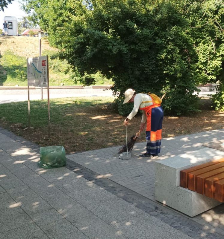 Ежедневная задача - порядок в городе Ежедневная задача - порядок в городе