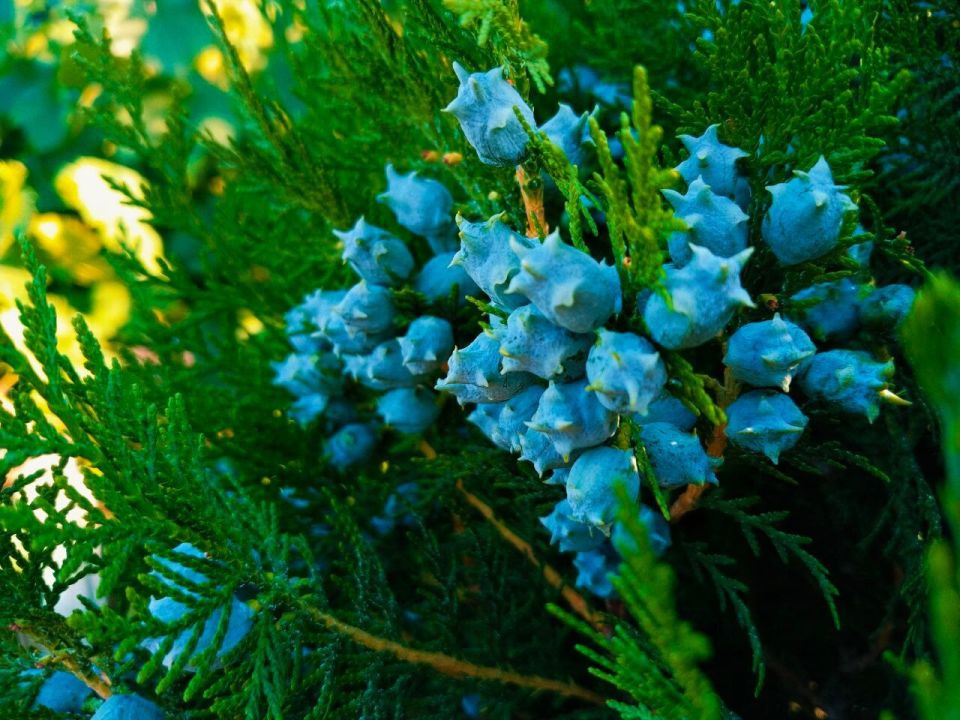 � ������ �����, �������!. ����� ��� ���� ����� �������� ��������! ������� � �������� ��������, t +32, ����� ���������