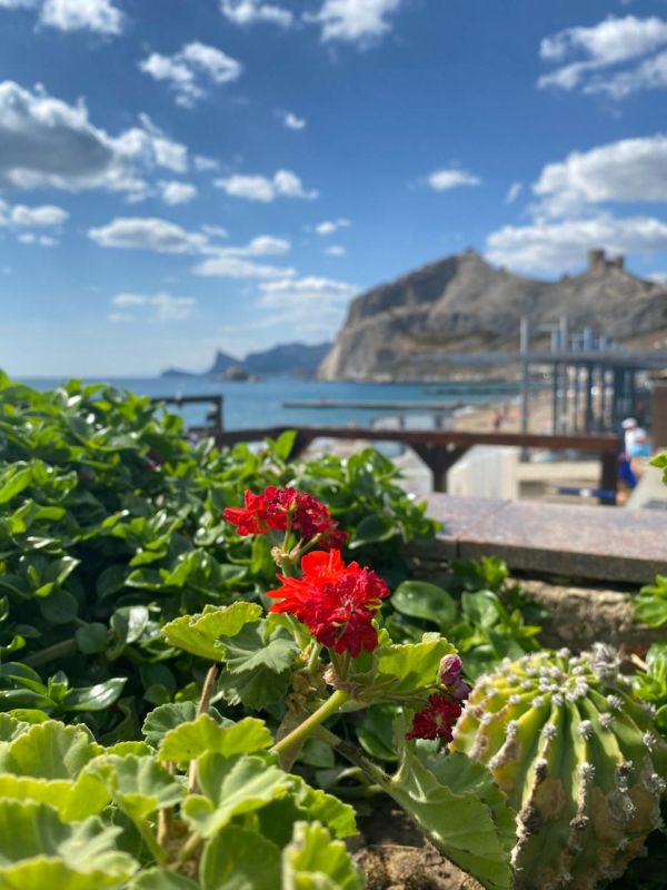 ������� ������ � ����� �� 8 ����