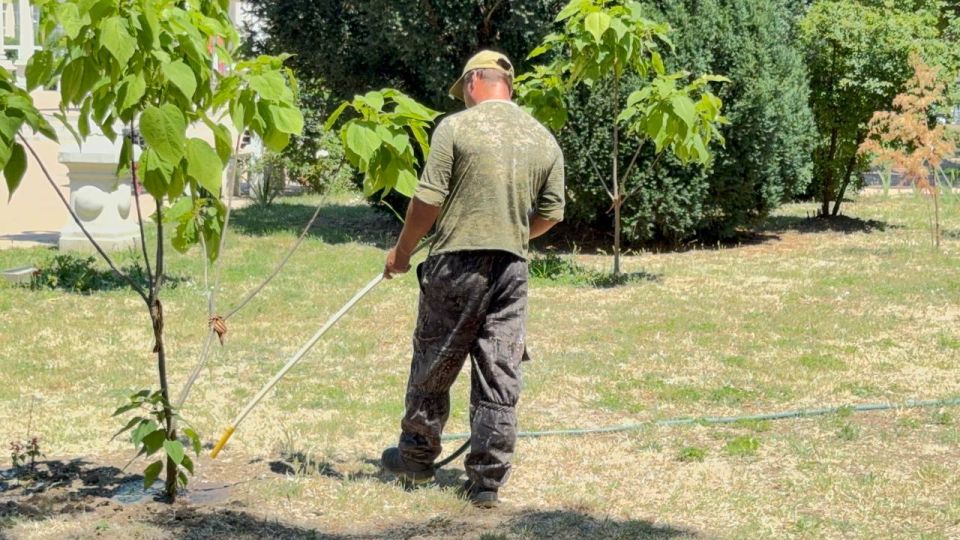 В Керчи регулярно производится полив зелёных насаждений В Керчи регулярно производится полив зелёных насаждений