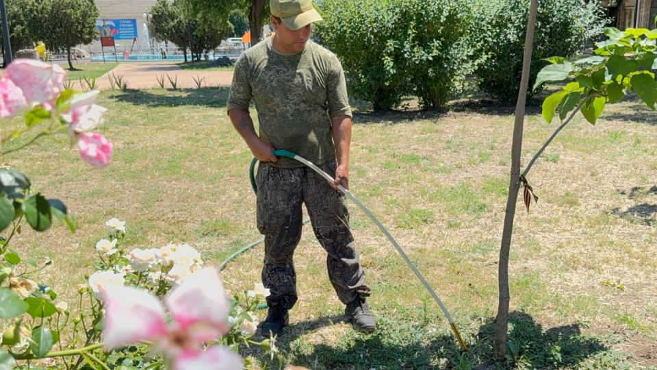 В Керчи регулярно производится полив зелёных насаждений В Керчи регулярно производится полив зелёных насаждений