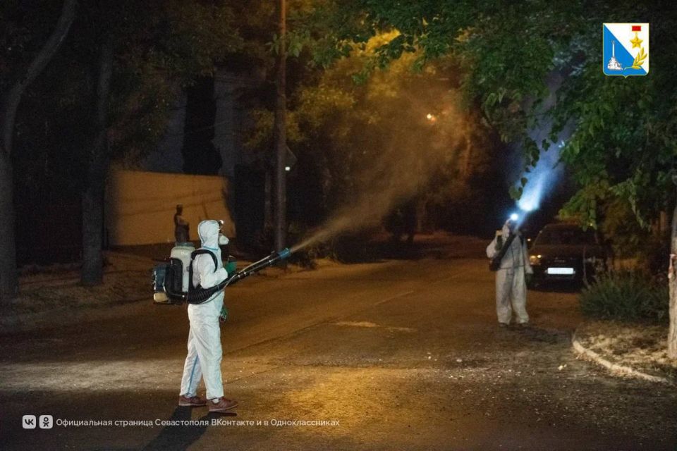 Обрабатываем деревья от американской белой бабочки Обрабатываем деревья от американской белой бабочки