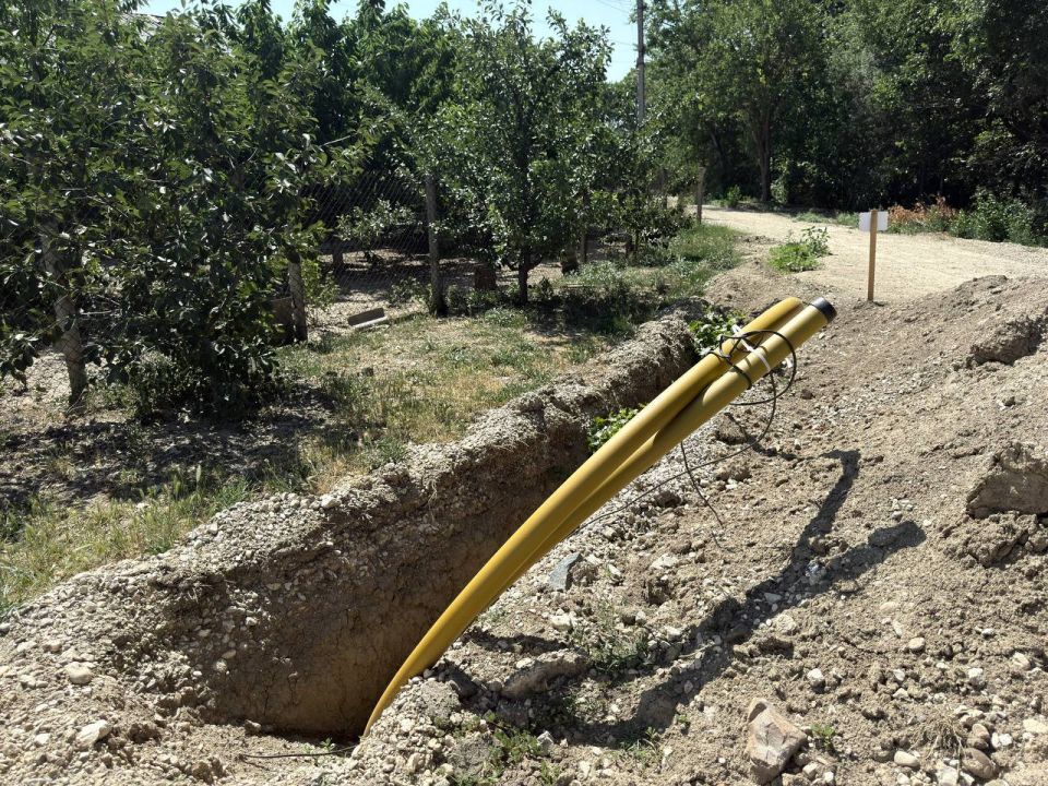 � ������������ ������ ������������ �����������