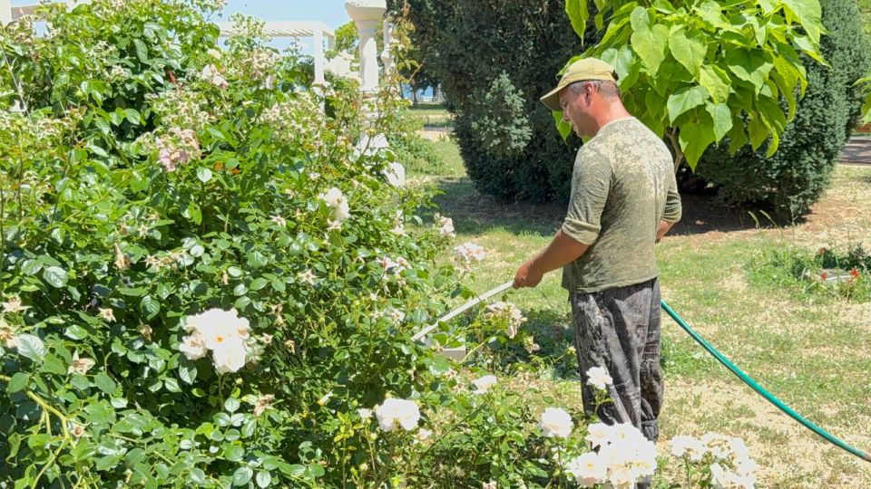 В Керчи регулярно производится полив зелёных насаждений В Керчи регулярно производится полив зелёных насаждений