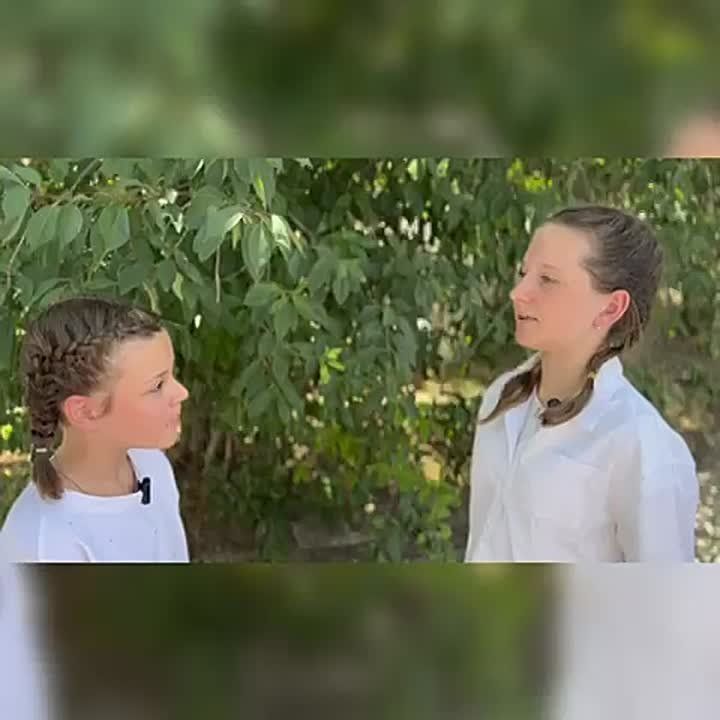     - 37 . . .                 ,   ,   