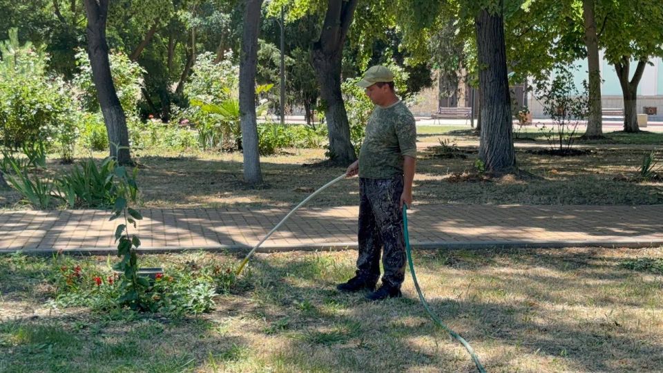 В Керчи регулярно производится полив зелёных насаждений В Керчи регулярно производится полив зелёных насаждений
