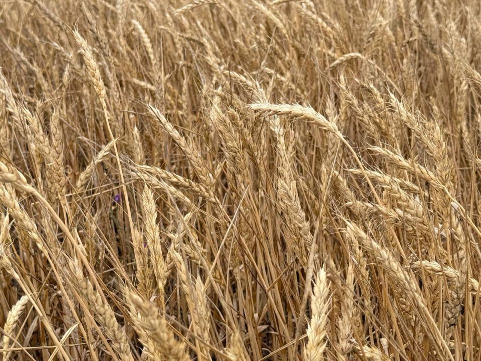 � ���������� ���� ��� �������� ���� ������ �������� � ������������ �������