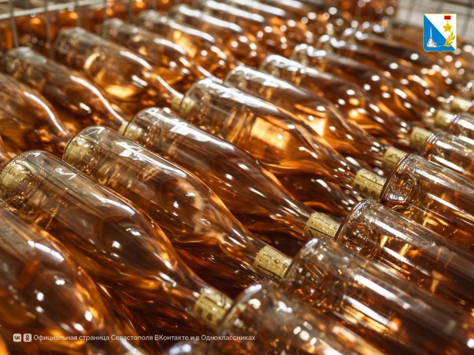 В Севастополе открылась винодельня AYA URBAN WINERY В Севастополе открылась винодельня AYA URBAN WINERY