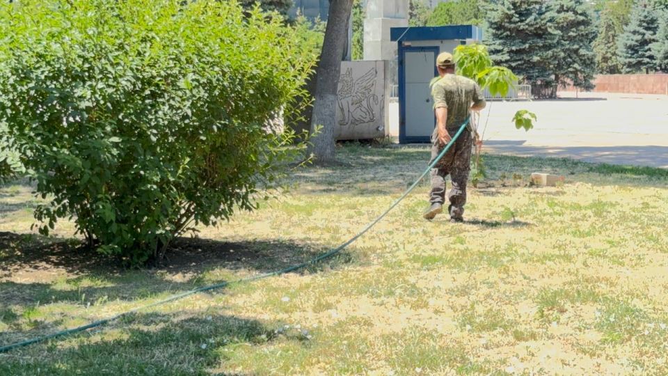 В Керчи регулярно производится полив зелёных насаждений В Керчи регулярно производится полив зелёных насаждений