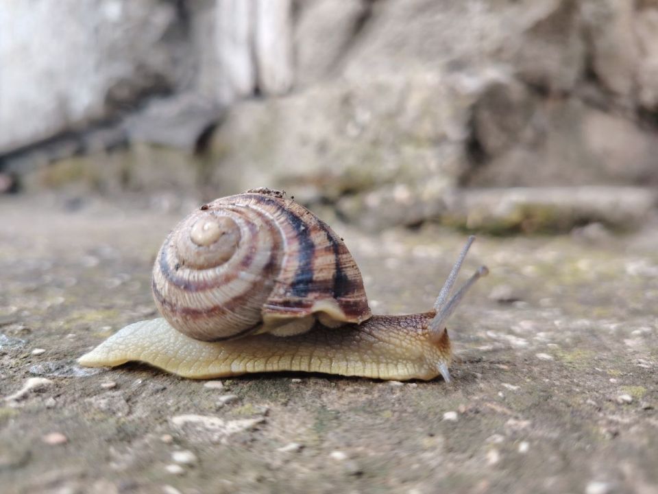 � ������ �����, �������!. ����� ����������� ���� ���������� � �������� ���! ������� � �������� ��������, t +33, ����� ���������