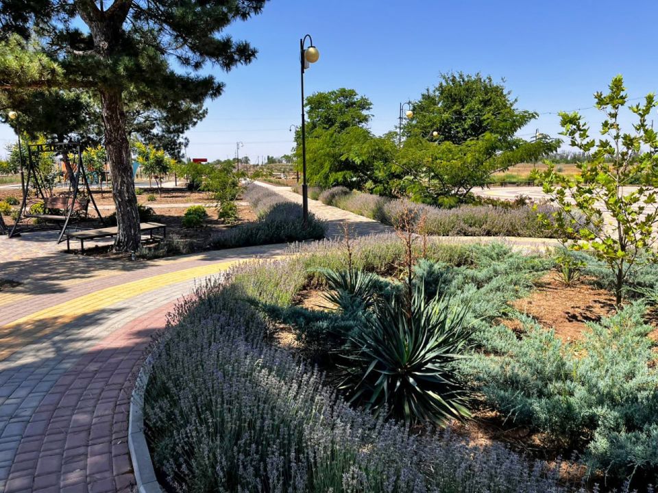 ���� �������: � ���� ������� �� ���������� ������ �������� ��������������� ���������� � ���� ����������������� � ��������������