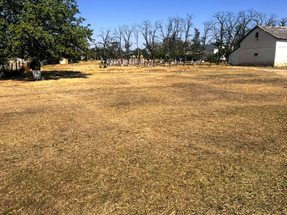 ��� ����� ���� �������� � ��������� ������ � ��������� ����