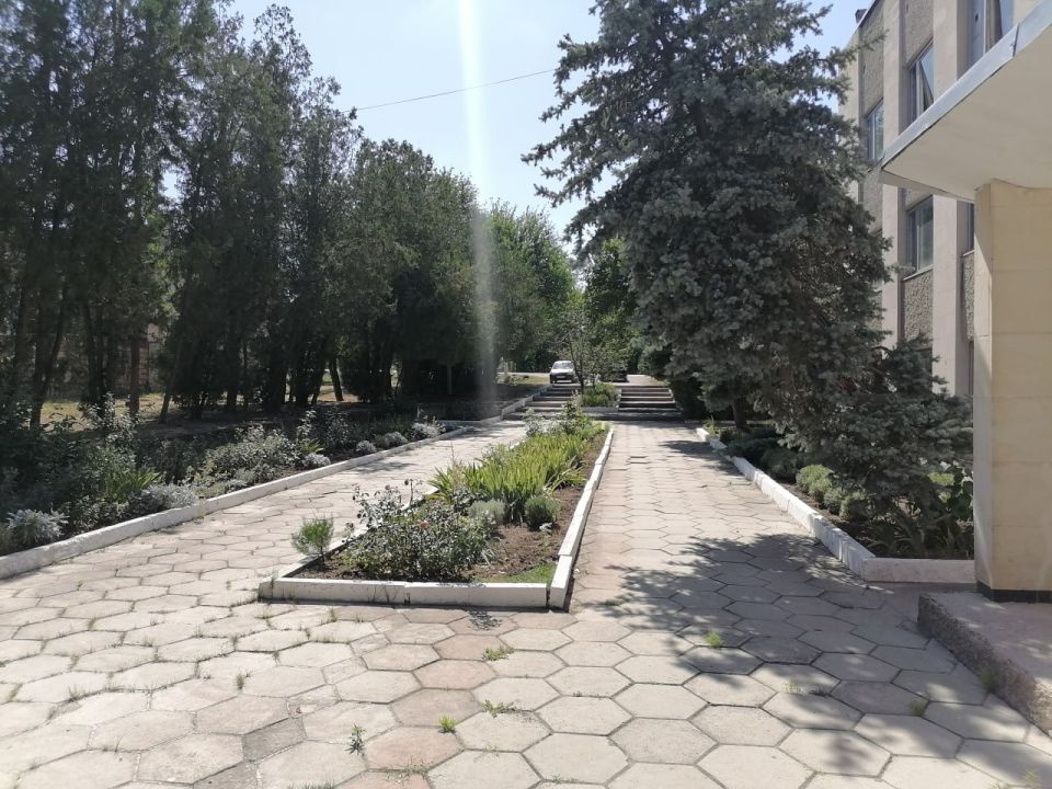 Светлана Маслова: Мероприятия по санитарному содержанию поселка Криничное проводятся системно Светлана Маслова: Мероприятия по санитарному содержанию поселка Криничное проводятся системно