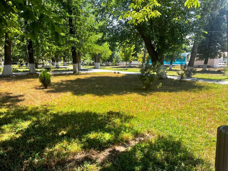 ���� �������: �������� ��� ���������� ������� � ��������� ������, � ����� ��� ������������ ������ ������������� ����������