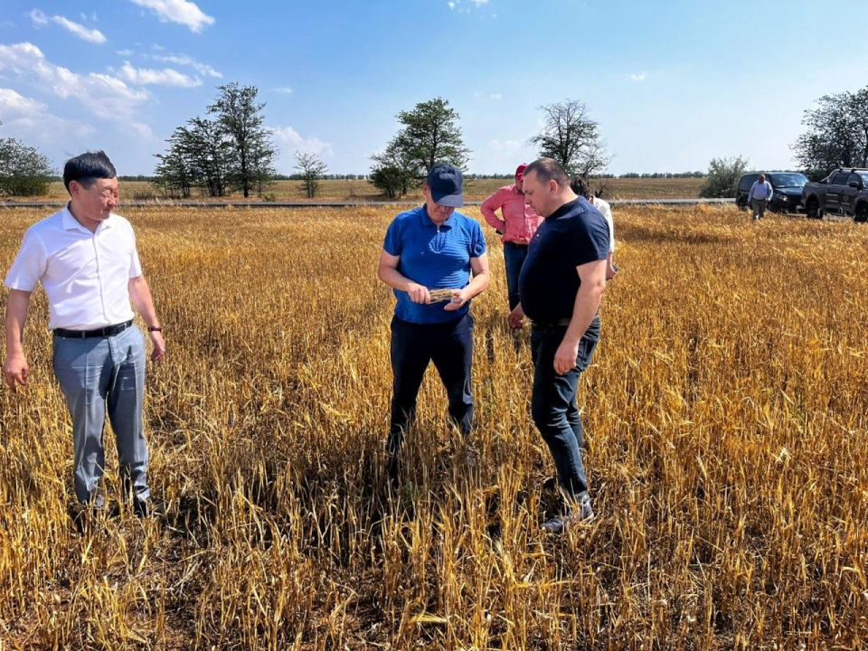 � ����� �������, ������ ������� ��������� �� ������, ����� �������� �����������