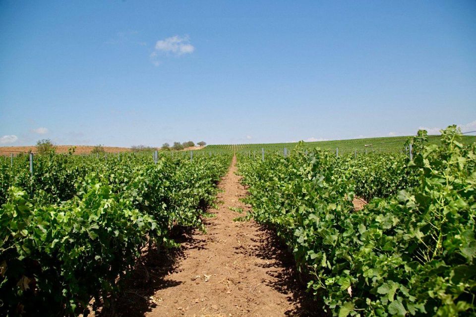 ��� ��������� �������� � �������� ��������� � �����