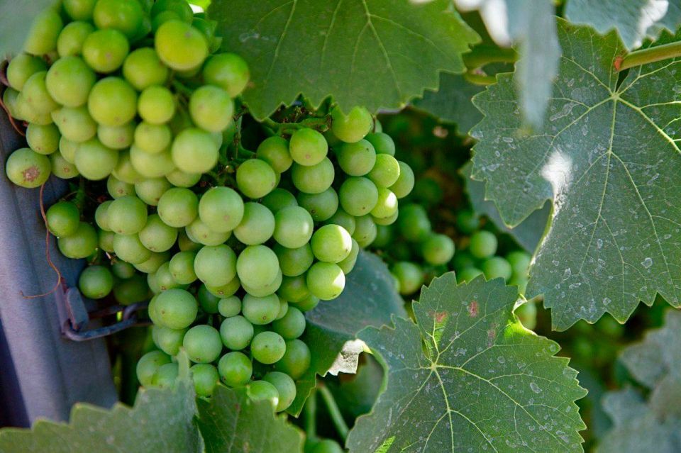 ��� ��������� �������� � �������� ��������� � �����