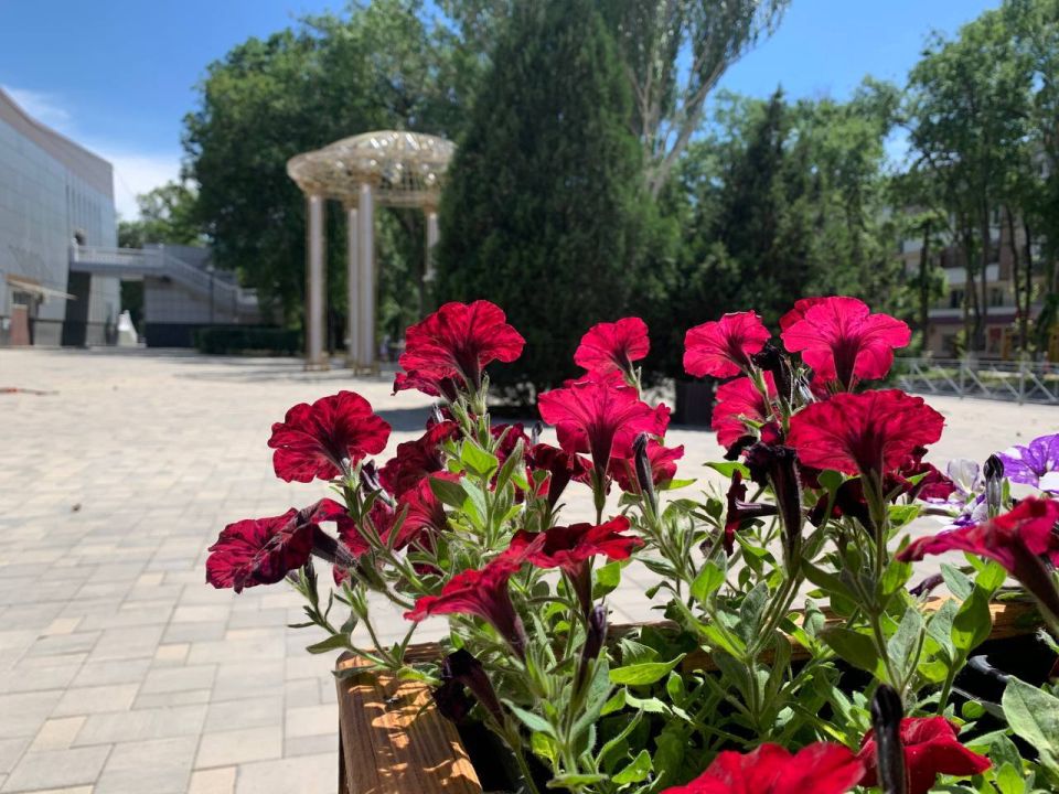 ������� ���������: ��������� ��������� ����� ���������� ���� ������ ����������� �������, ������� ������� ������������� ����� 60 ��������� ������ �� ������ � ��������������� �������� ���������� ������