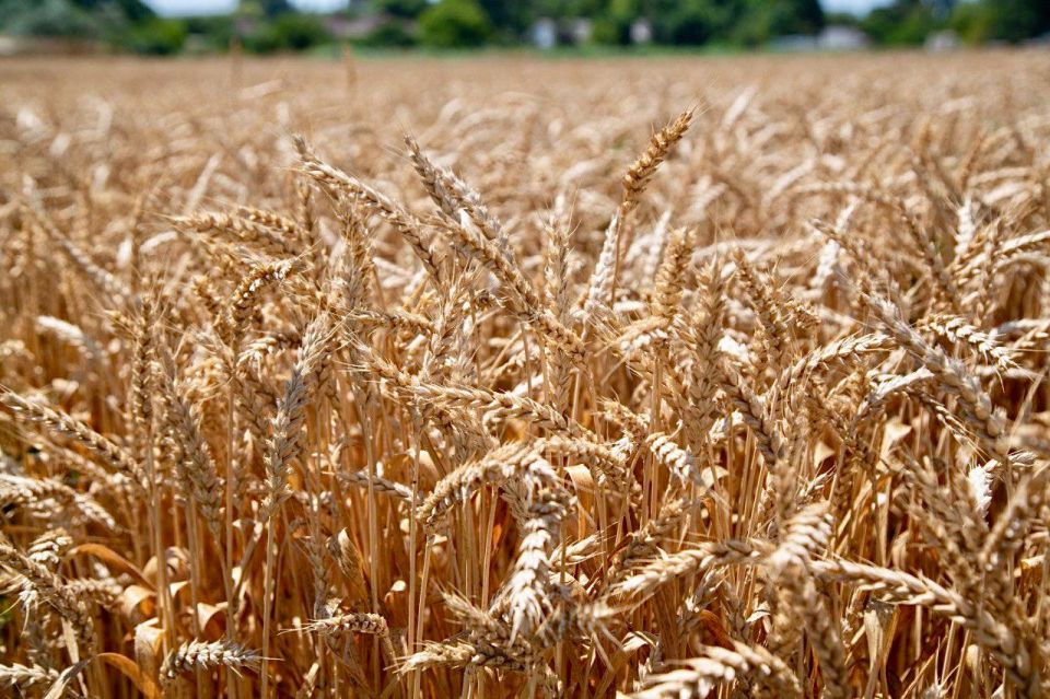 ��� ��������� �������� � �������� ��������� � �����