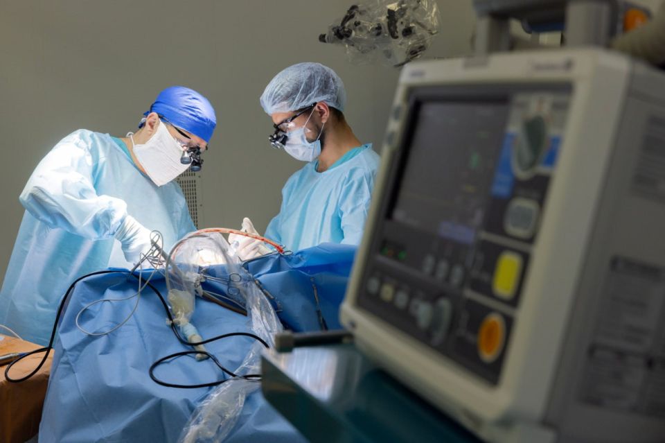  :    2025      7 669     6 884   785 