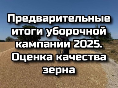  :   .  :     2025