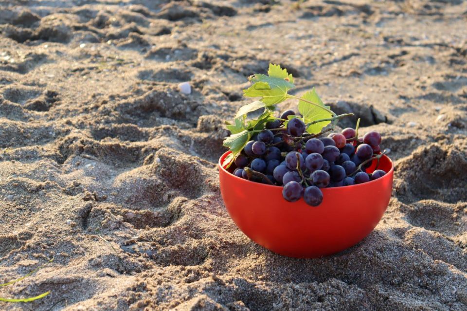 ������� ������ � ����� �� 11 ����