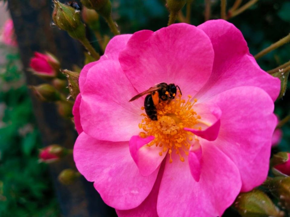 � ������ �����, �������!. ����� ������� ������������ ����� � �������� �����������! ������� � �������� �����������, t +33, ����� ��������