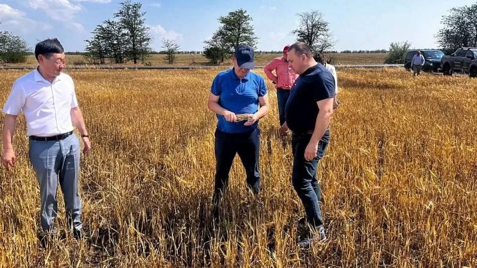 �������� ������� ����� �������� ����������� �� ����� �� ��������� ������