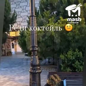   ,    ?  , ,    