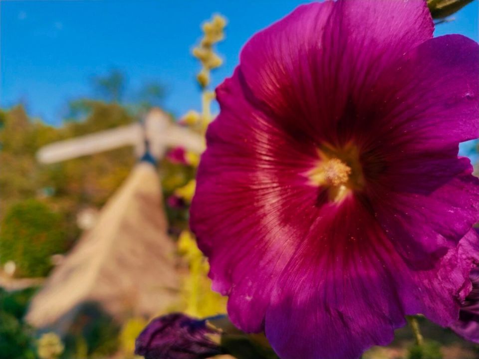 � ������ �����, �������!. ����� ����������� ���� �������� � ����� �������! � �������� ��������, t +34, ����� ��������