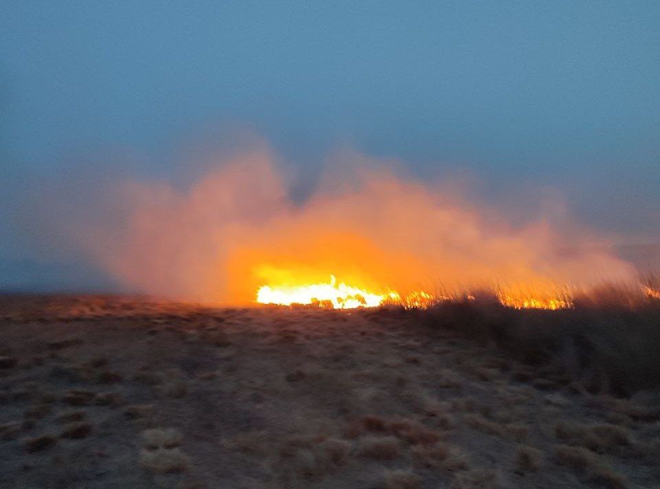 За прошедшие выходные дни сотрудники МЧС Республики Крым 15 раз привлекались для тушения сухой растительности За прошедшие выходные дни сотрудники МЧС Республики Крым 15 раз привлекались для тушения сухой растительности