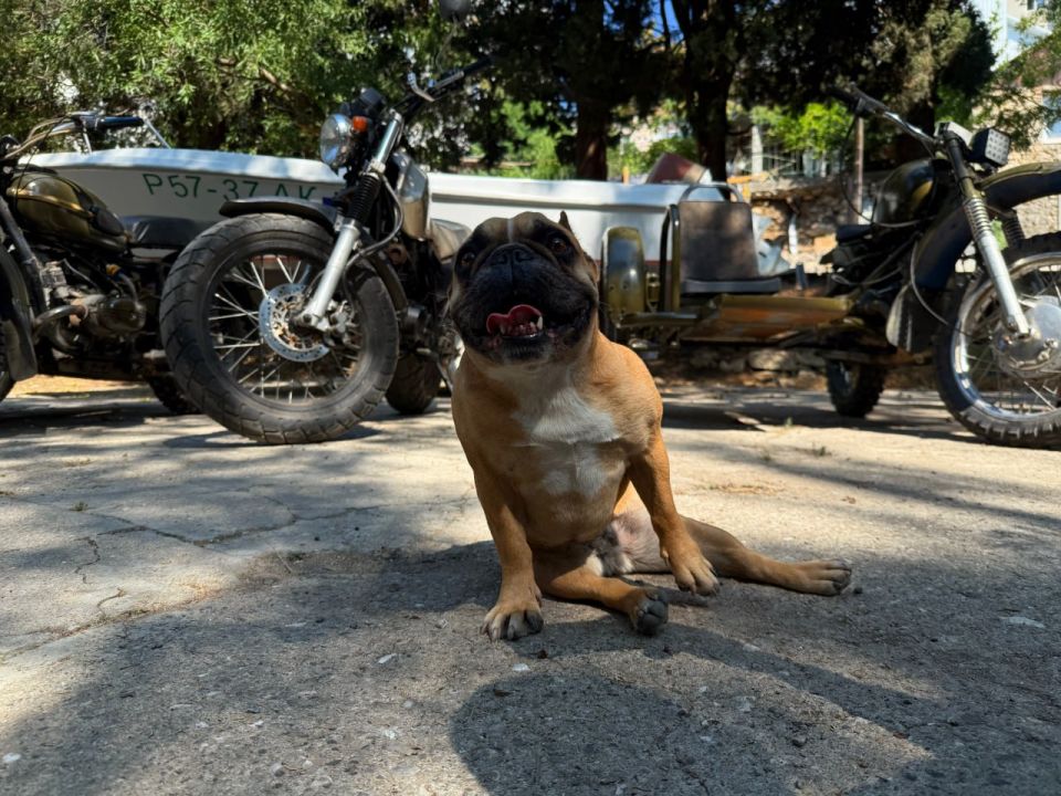 ����� ��������: �� ���� ������� � ������ ������ ���������� ����� ��� ������� ������ ������ ������ � �����, ��� ������ �� ������ ������