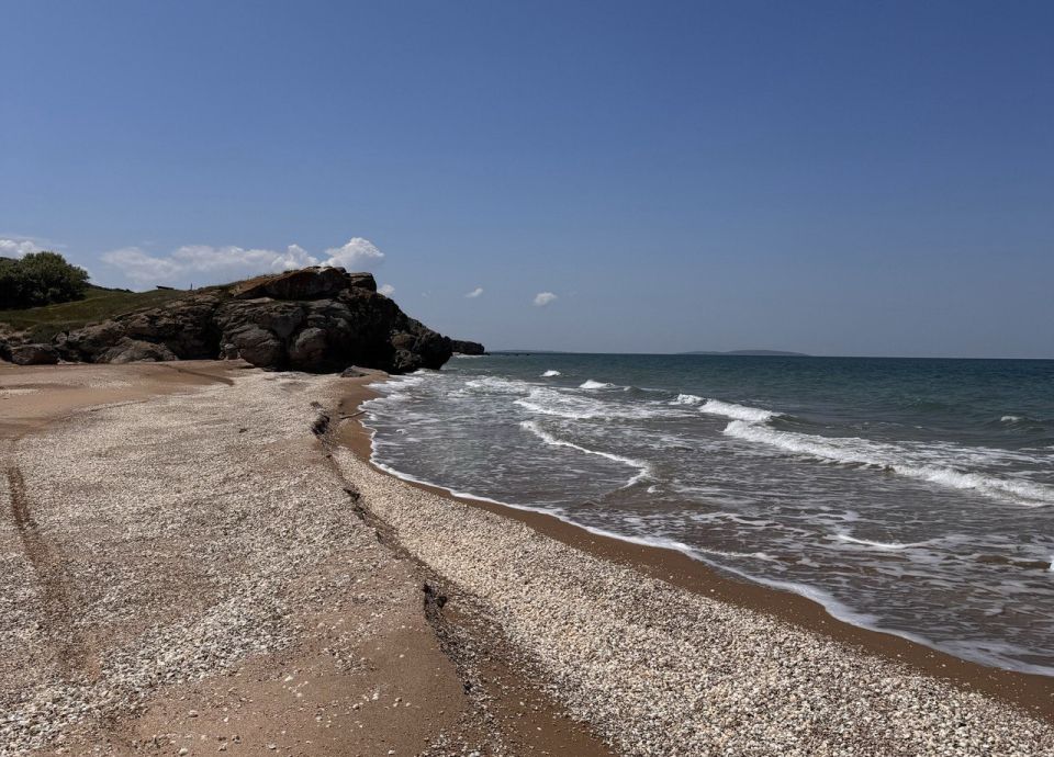 ������� ������ � ����� �� 14 ����