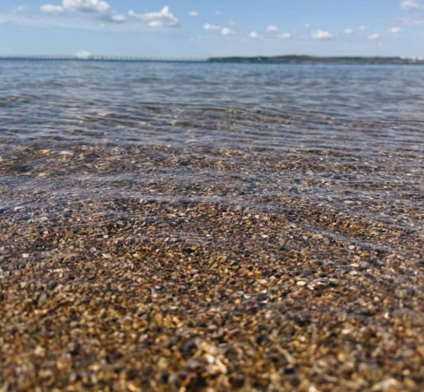 ����������� ������� ���� �� �������� ������, 15 ����